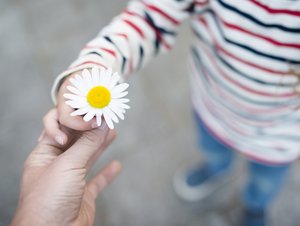 Magnetische Visitenkarten